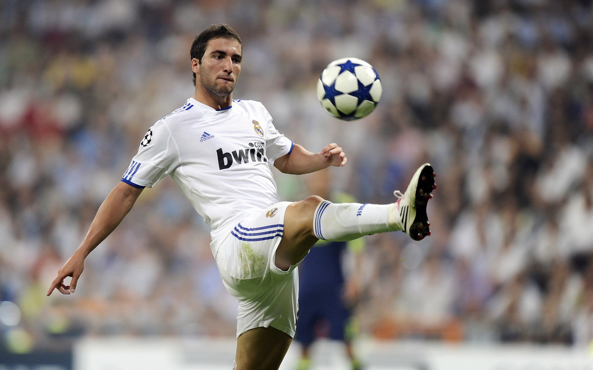 AYX体育-球迷“云投票”揭晓：最帅球员、最_主页_帅的队伍你支持谁？，最帅球星壁纸